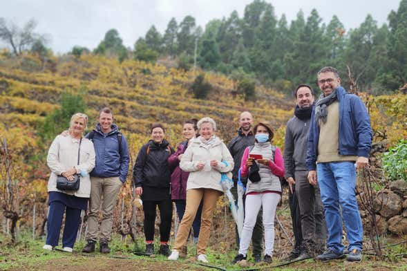 Visita às Bodegas Ferrera