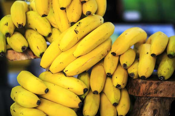 Free tour por uma fazenda de bananas