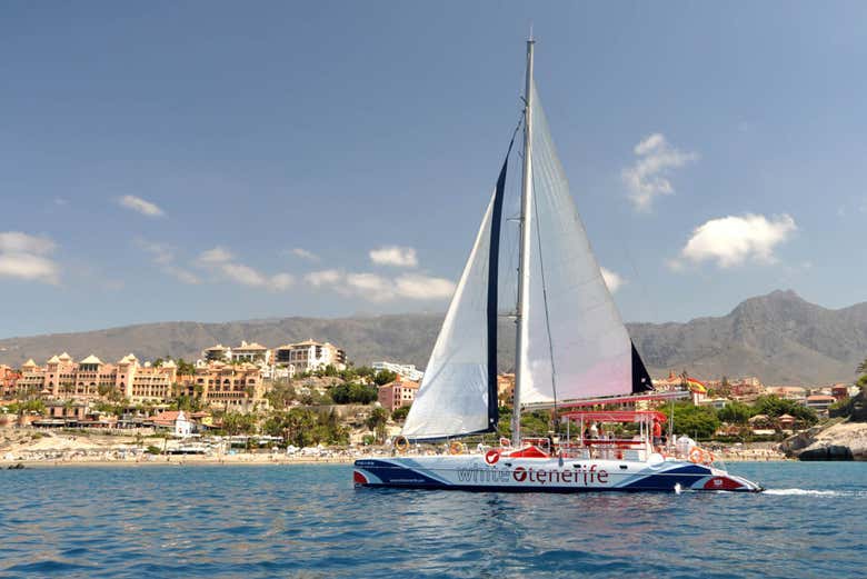 Navegando de veleiro pela costa sul de Tenerife