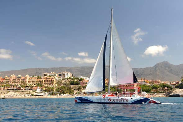 Passeio de catamarã de 5 horas com avistamento e escuta de cetáceos