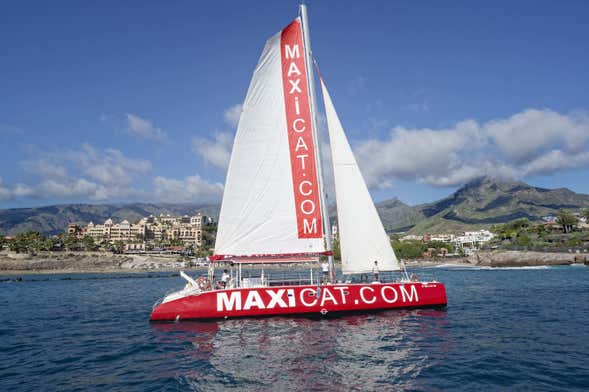Passeio de catamarã pela Costa Adeje