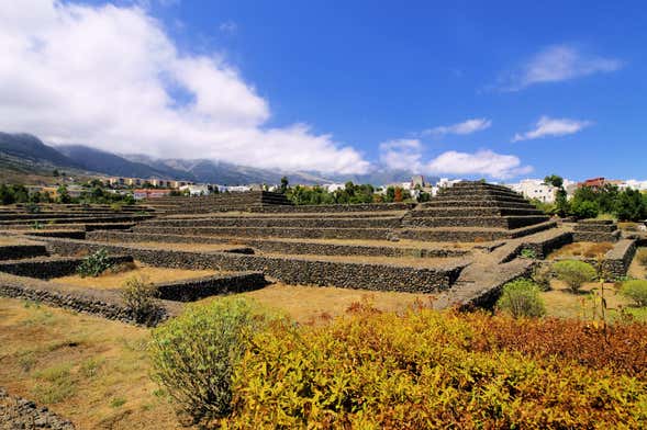 Excursão a Candelaria e às pirâmides de Güímar