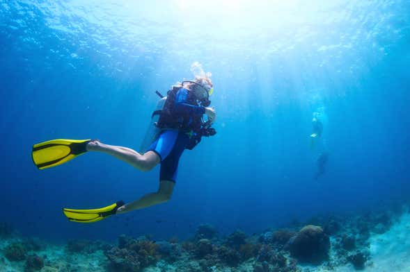Curso de mergulho PADI Open Water em Los Cristianos