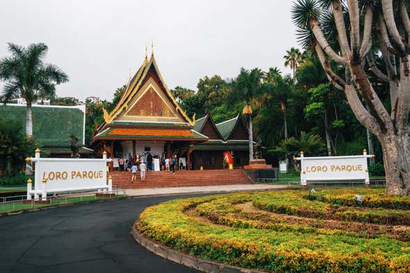 Ingresso do Loro Parque + Siam Park