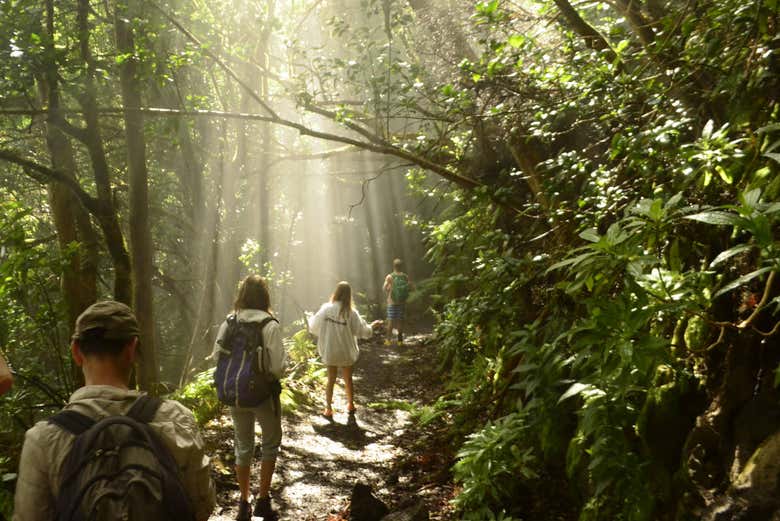 Trilha pelo Parque Rural de Anaga