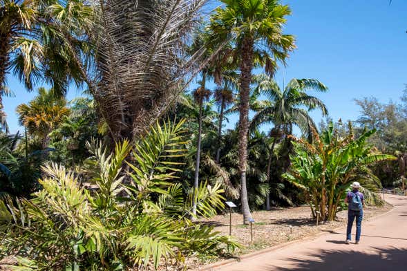 Ingresso do Palmetum