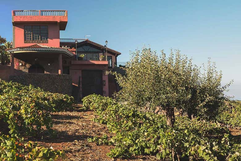 Bodegas Monje