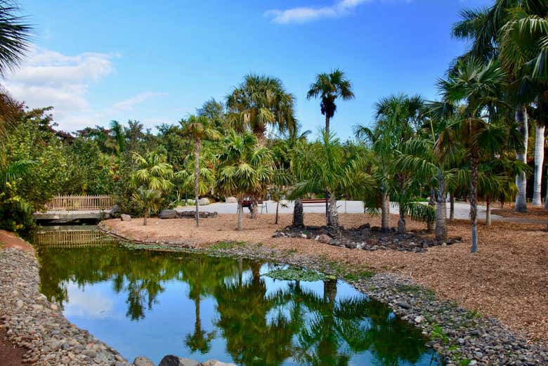 Palmetum de Santa Cruz de Tenerife