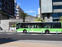 Ônibus de Santa Cruz