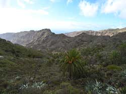 Penhascos de La Gomera