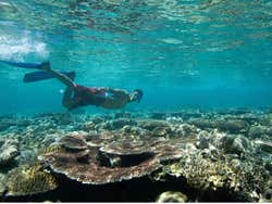 Snorkel em Tenerife