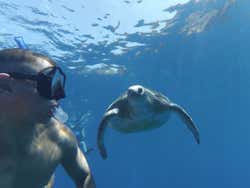 Snorkel